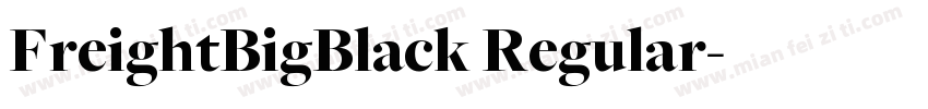 FreightBigBlack Regular字体转换